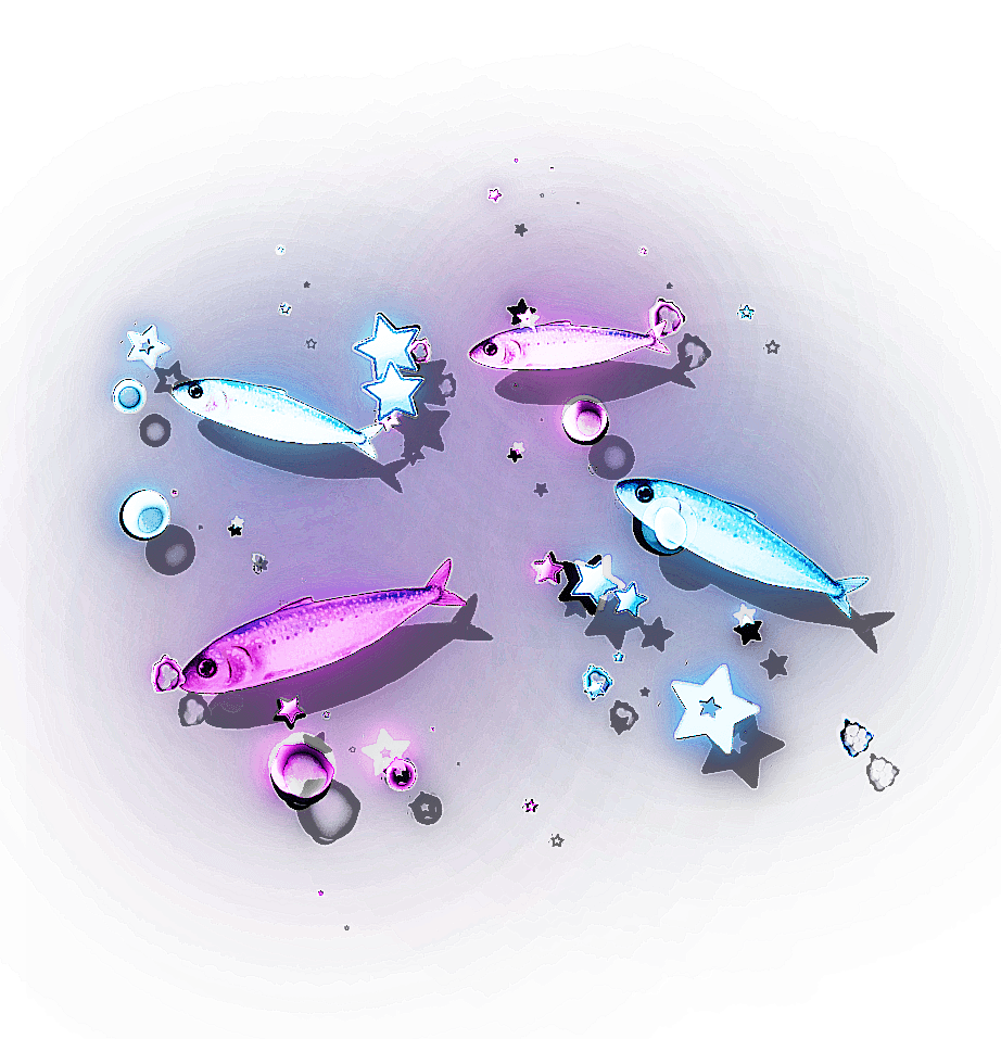 Aww Anchovies