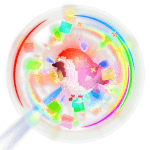 Rainbow Birb