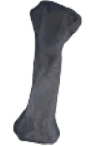 Boneite Ore