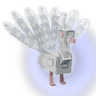 Albino Peacock