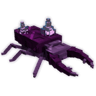 Amethyst Beetle