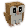 Barn Owl