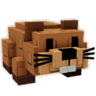 Beaver