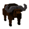 Cape Buffalo