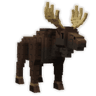 Moose