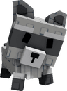 Raccoon