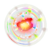 Rainbow Clam