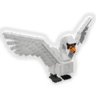 Swan