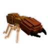 Termite
