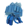 Tidal Hermit Crab