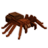 Trapdoor Spider