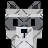 Big Raccoon