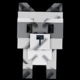 Raccoon