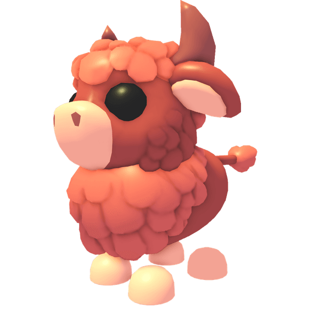Angus Bull