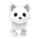 Arctic Fox