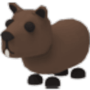 Capybara