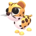 Cheetah