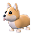 Corgi