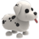 Dalmatian