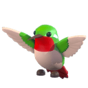 Hummingbird