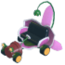 Orchid Racer