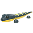 Salamander