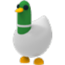 Silly Duck