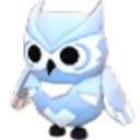 Snow Owl