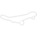 White Skateboard