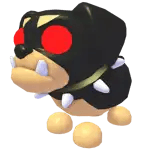 Black Dog
