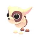 Kid Goat