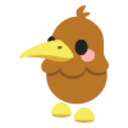 Kiwi Sticker