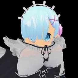 Shiny Rom and Ran Fanatic (Rem and Ram)