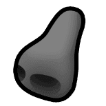 ToTo Nose