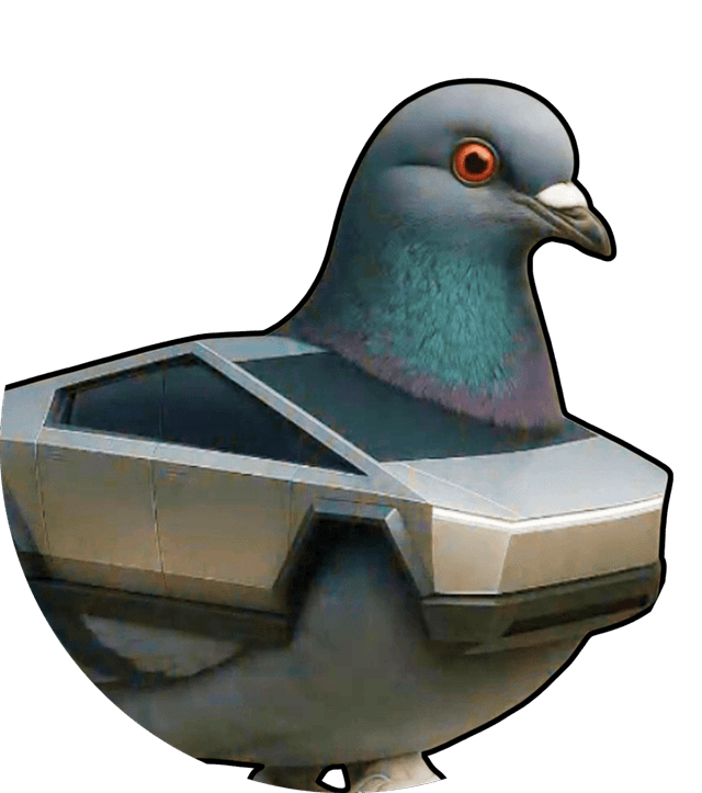 Piccione Macchina