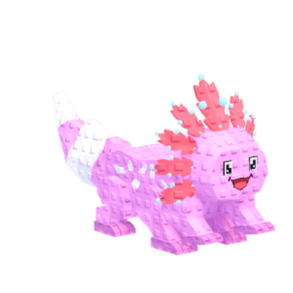 Anemone Axolotl