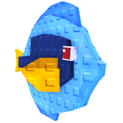Blue Tang