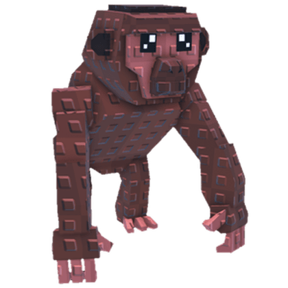 Chimpanzee