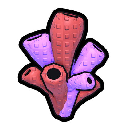Coral Fruit