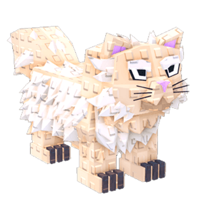 Fluffy Cat