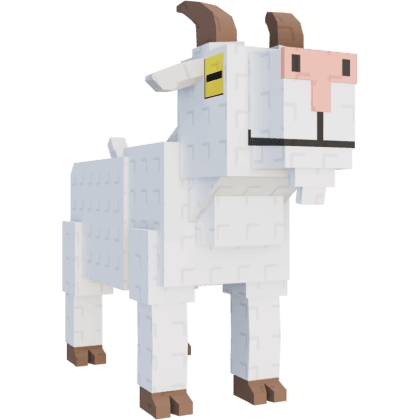 Goat