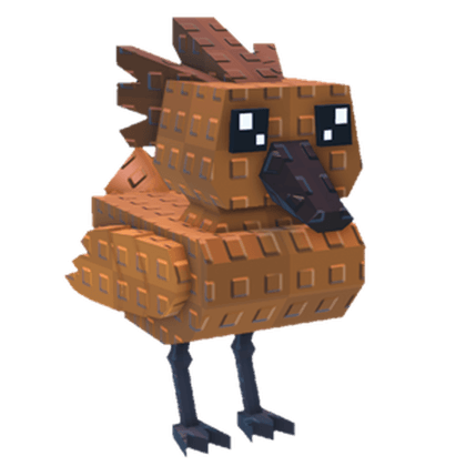 Hammerkop