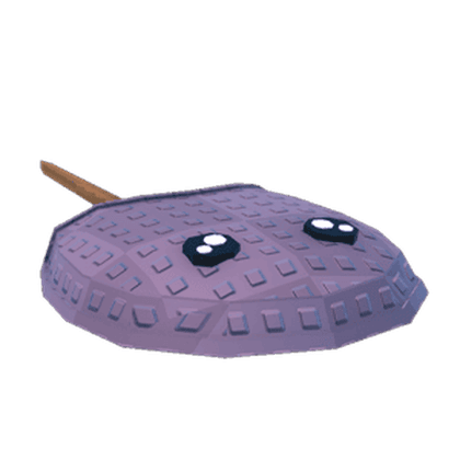 Horse Shoe Crab