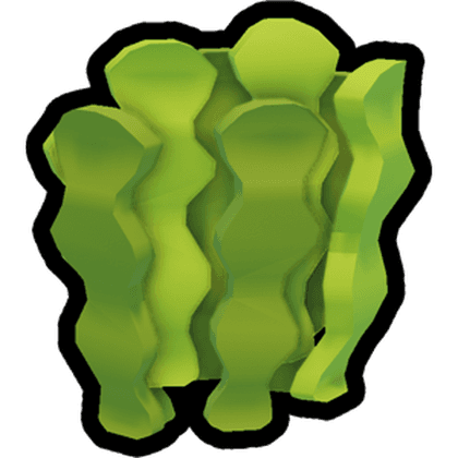 Kelp