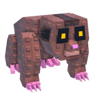 Loris
