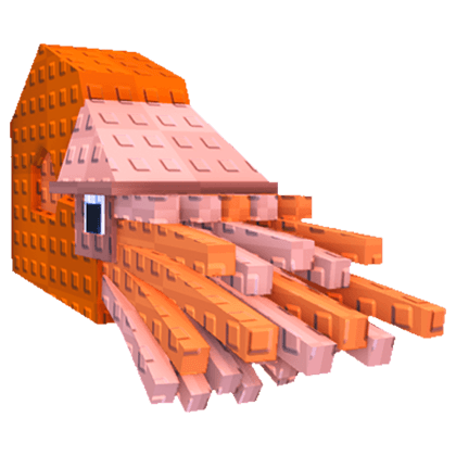 Nautilus