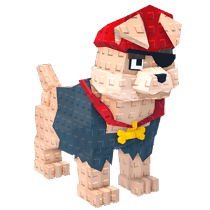 Pirate Dog