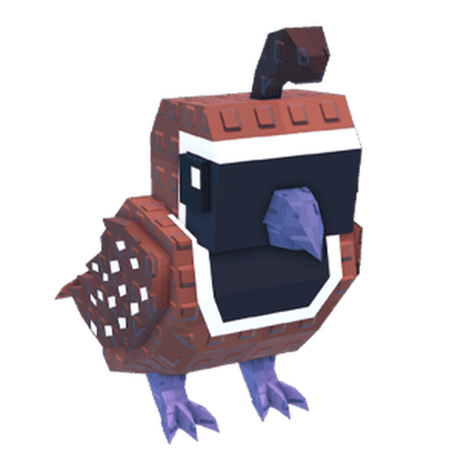 Quail