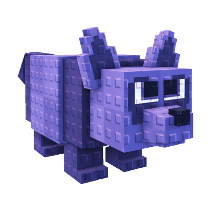 Raccoon