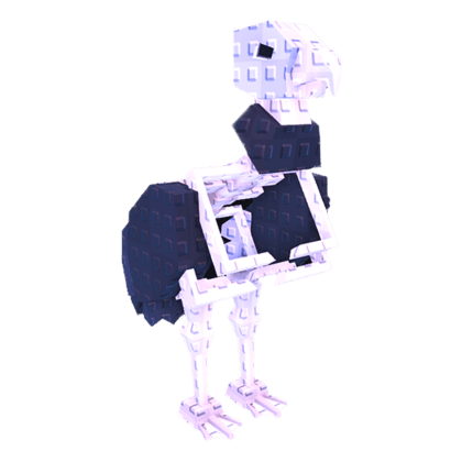Skeleton Vulture
